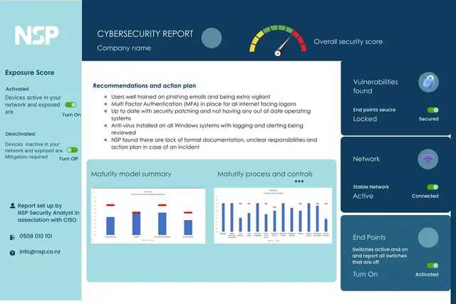 NSP-cybersecurity